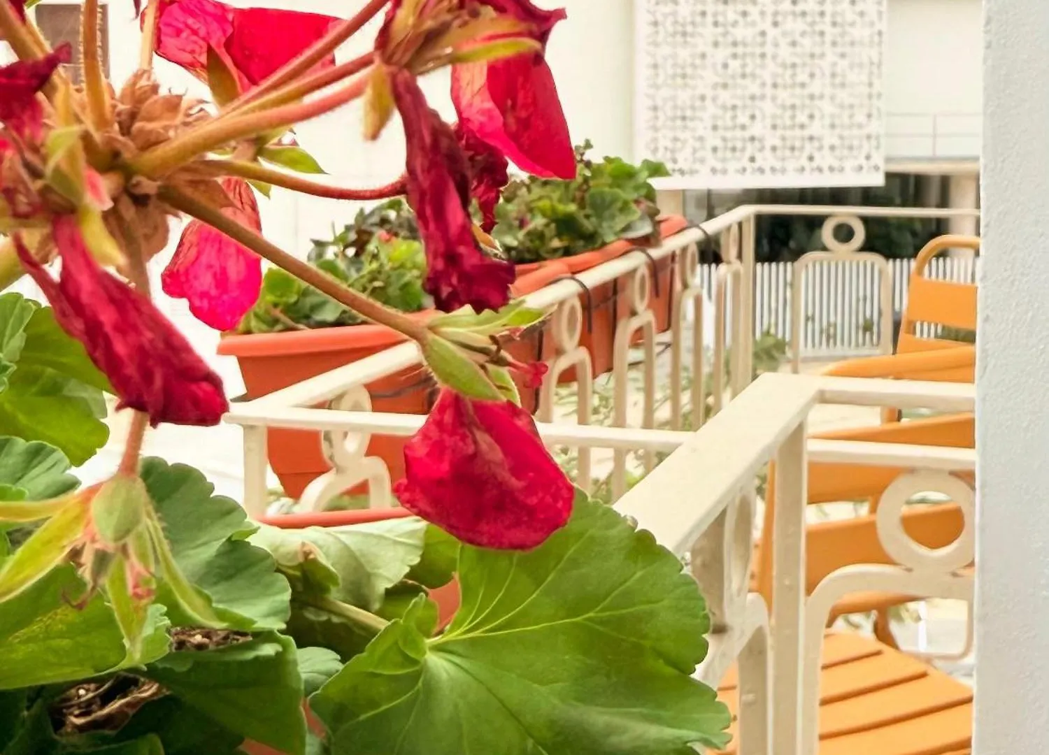 Apartment Ikigai Leisure Properties Estepona